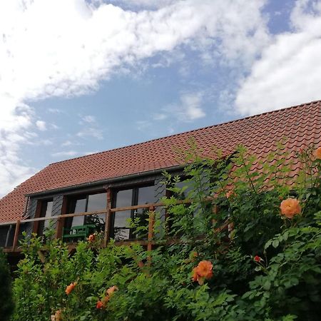 Heidi'S Gaestezimmer Λίπσταντ Εξωτερικό φωτογραφία
